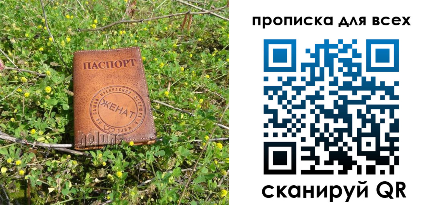 прописка поиск в Дербенте
